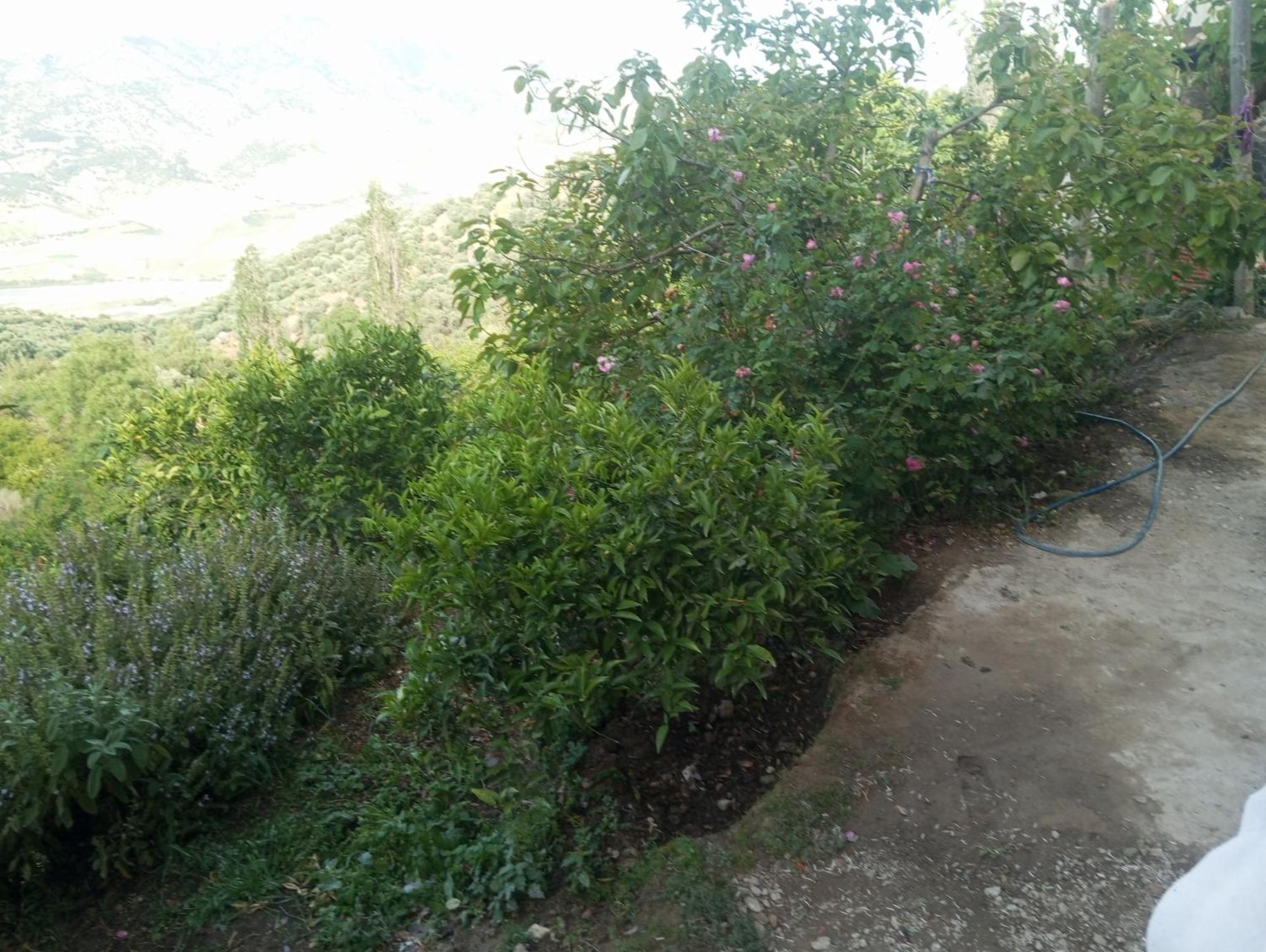 Dar Lala Zhour Daire Douar Ain Bouchrik Dış mekan fotoğraf
